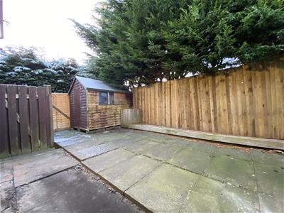 Picture 14